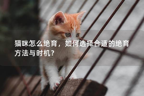 貓咪怎么絕育，如何選擇合適的絕育方法與時機？